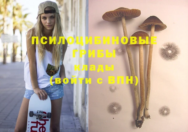 тгк Магадан