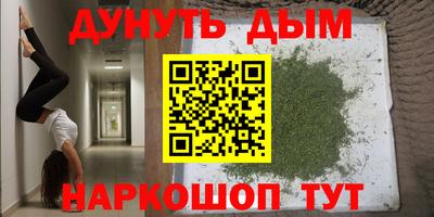 сатива Балаково