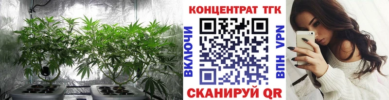 Дистиллят ТГК гашишное масло мега tor Кингисепп купить цена