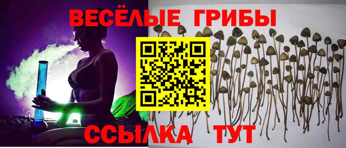 Галлюциногенные грибы Magic Shrooms  Галлюциногенные грибы Cubensis  Вход с VPN  Кингисепп 