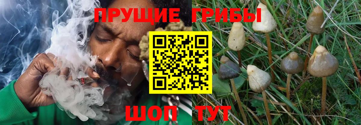 КОКАИН  Кингисепп  Вход с VPN  Мефедрон  Метамфетамин  Плюхи  Марихуана  MDMA 