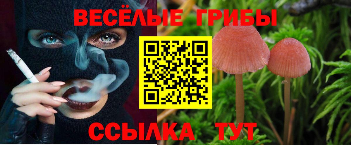 Галлюциногенные грибы MAGIC MUSHROOMS Кингисепп